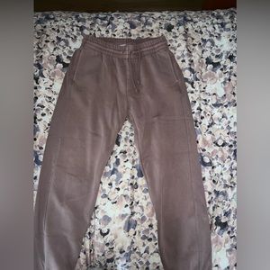 Aritzia cozy fleece perfect sweatpants jogger